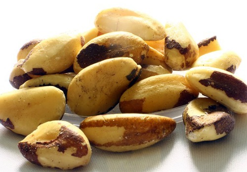 brazil-nut