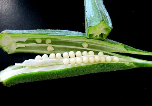 okra